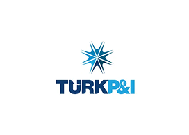 https://www.turkpandi.com/tr/anasayfa