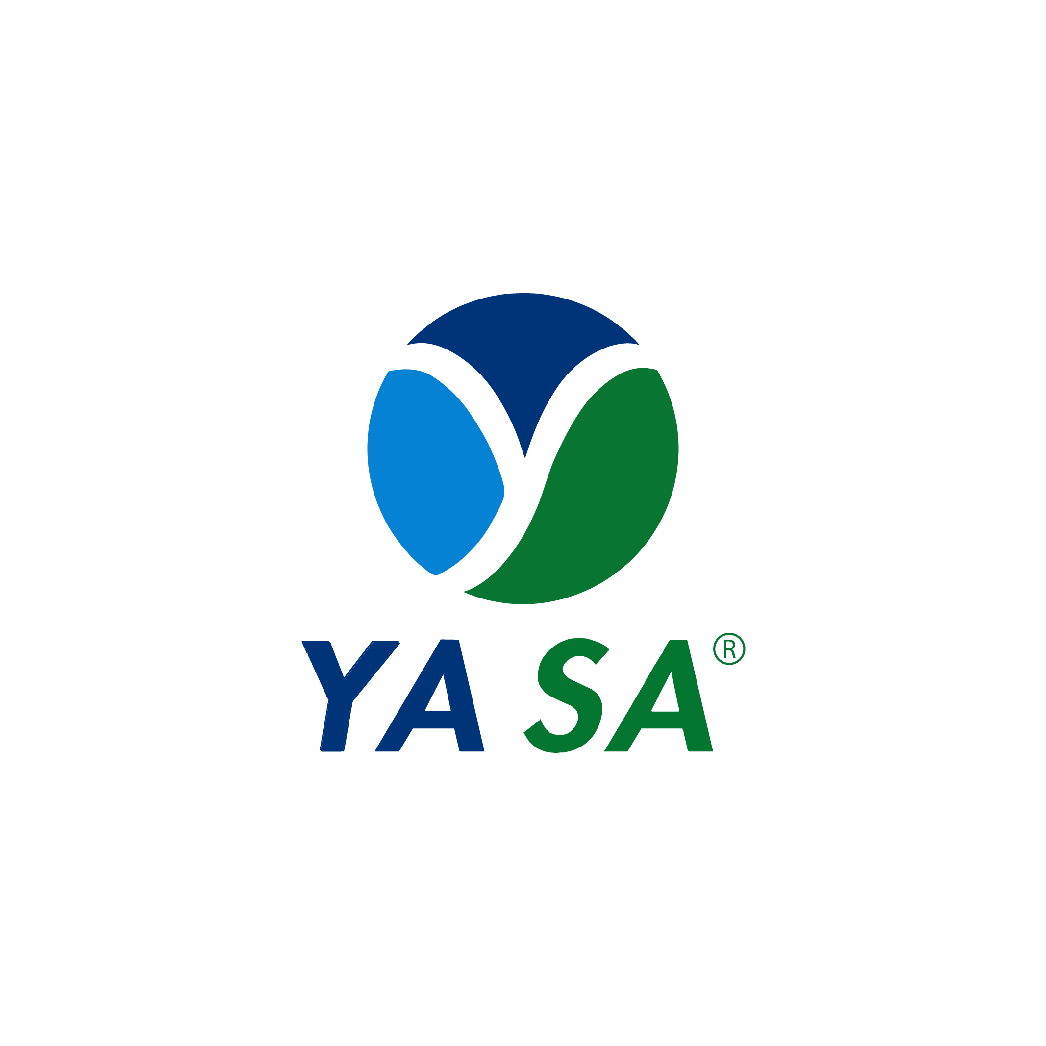 Yaşa Shipping